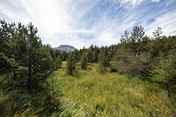 Celerina im Oberengadin, Graubünden