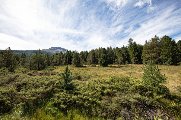 Celerina im Oberengadin, Graubünden