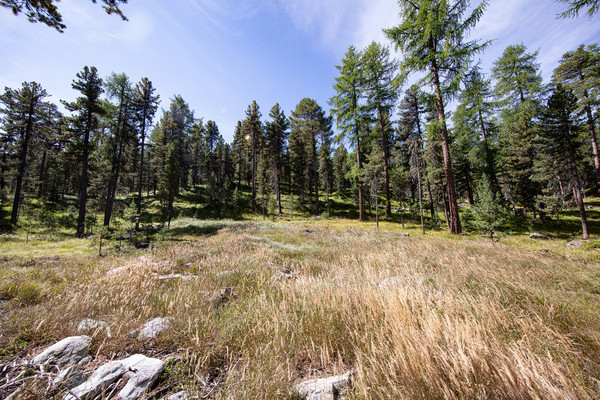 Celerina im Oberengadin, Graubünden