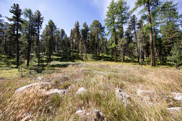 Celerina im Oberengadin, Graubünden