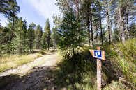 Foto: Celerina, Oberengadin, Graubünden, Schweiz