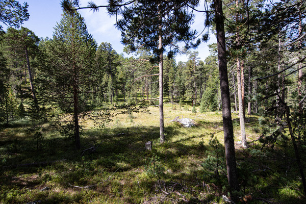 Celerina im Oberengadin, Graubünden