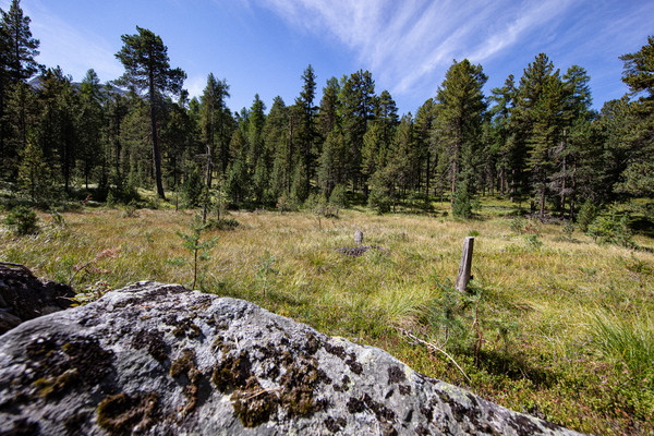 Celerina im Oberengadin, Graubünden