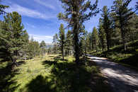 Foto: Celerina, Oberengadin, Graubünden, Schweiz