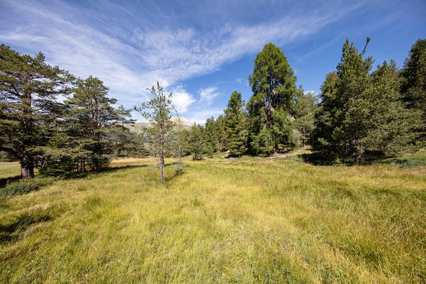 Celerina im Oberengadin, Graubünden