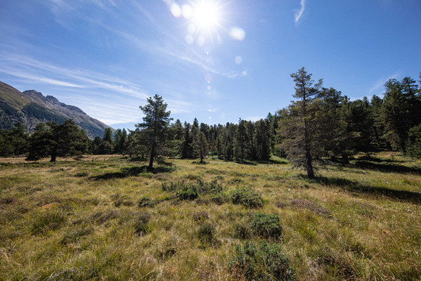 Celerina im Oberengadin, Graubünden