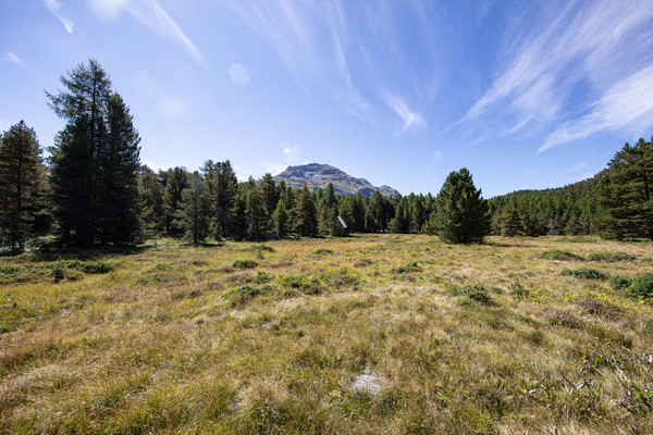 Celerina im Oberengadin, Graubünden