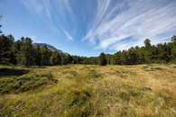 Foto: Celerina, Oberengadin, Graubünden, Schweiz