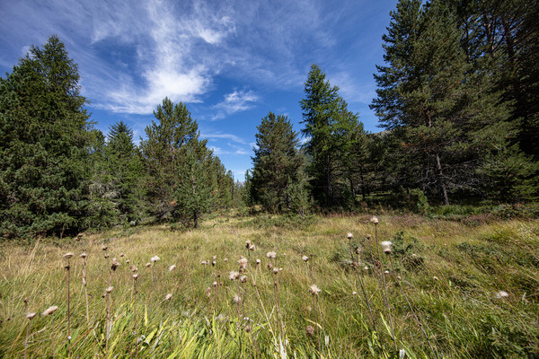 Celerina im Oberengadin, Graubünden