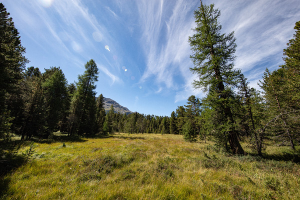 Celerina im Oberengadin, Graubünden