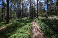 Foto: Celerina, Oberengadin, Graubünden, Schweiz