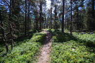 Foto: Celerina, Oberengadin, Graubünden, Schweiz