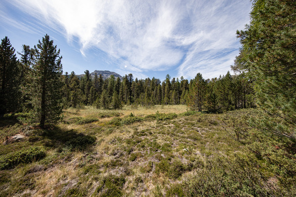 Celerina im Oberengadin, Graubünden