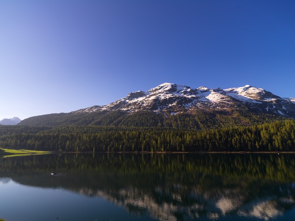 St.Moritzersee mit Piz Rosatsch