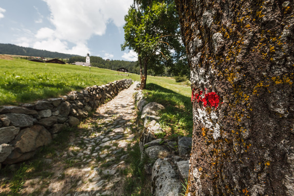 Sumvitg, Bündner Oberland, Graubünden, Schweiz, Switzerland