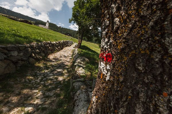 Sumvitg, Bündner Oberland, Graubünden, Schweiz, Switzerland