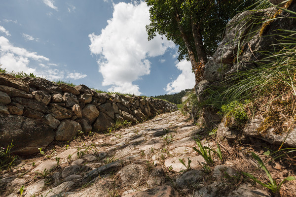 Sumvitg, Bündner Oberland, Graubünden, Schweiz, Switzerland