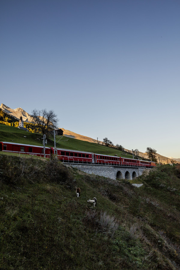 Die Rhätische Bahn in der Abendstimmung bei Sumvitg im Bündner Oberland, Graubünden, Schweiz.
