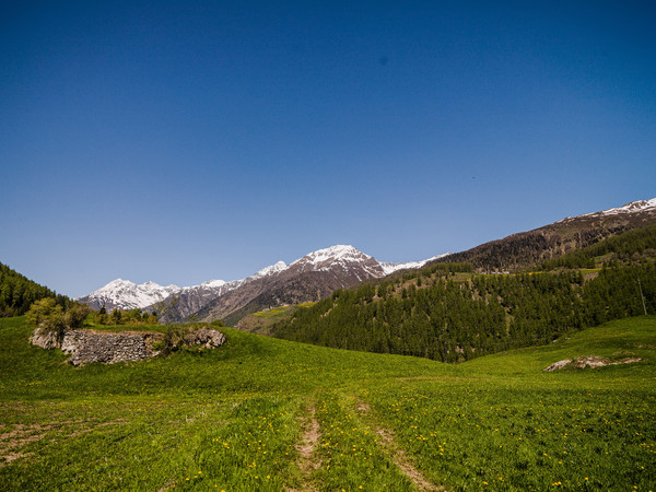 Frühling in Sur En