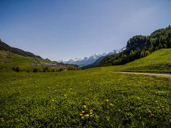 Frühling in Sur En