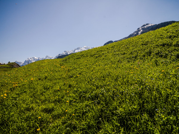 Frühling in Sur En