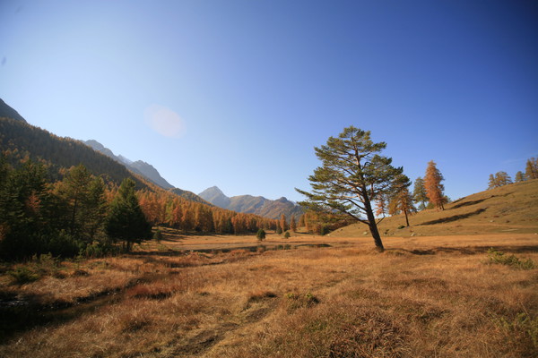 Herbststimmung beim Lei Nair oberhalb Tarasp im Unterengadin