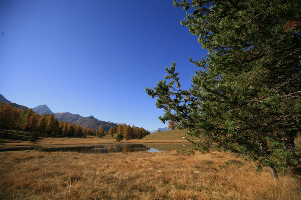 Herbststimmung beim Lei Nair oberhalb Tarasp im Unterengadin