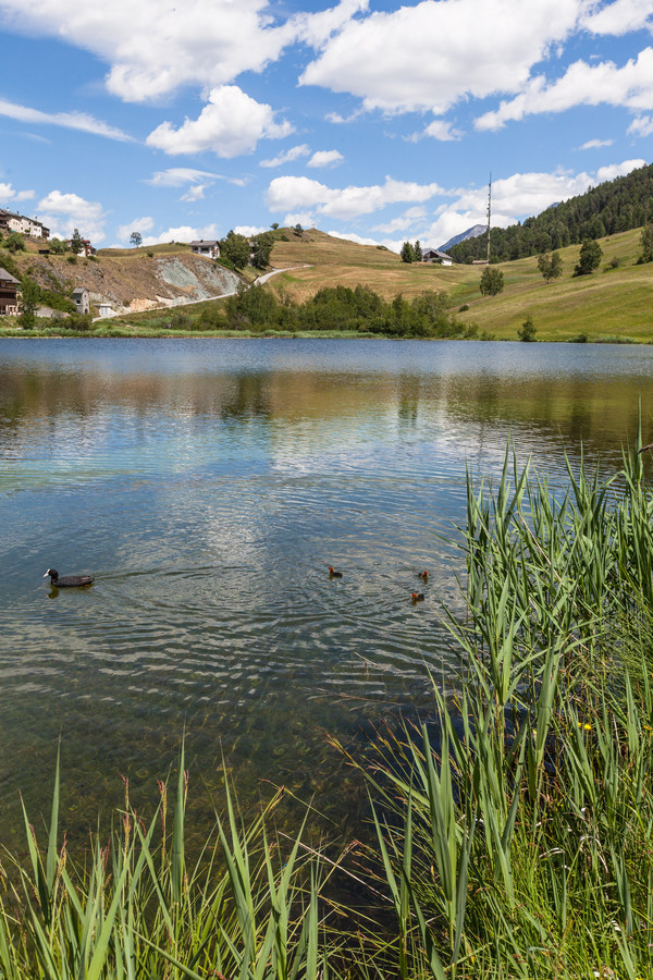 Schloss Tarasp bei Scuol im Unterengadin