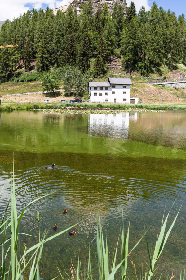 Schloss Tarasp bei Scuol im Unterengadin