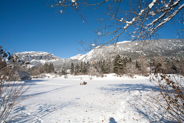 Winter bei Trin in Graubünden