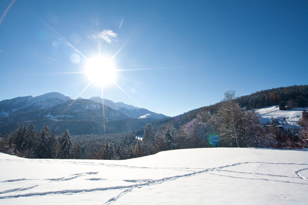 Winter bei Trin in Graubünden