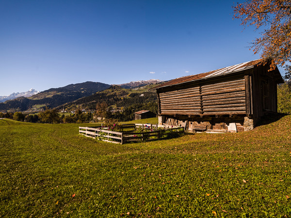 Stall bei Valendas in der Surselva, Graubünden