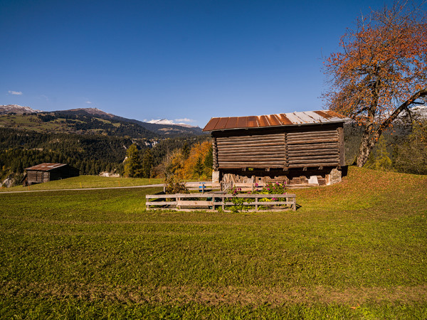 Stall bei Valendas in der Surselva, Graubünden