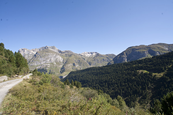 Weg zur Alpe Motta, Hintergrund Piz Starlera