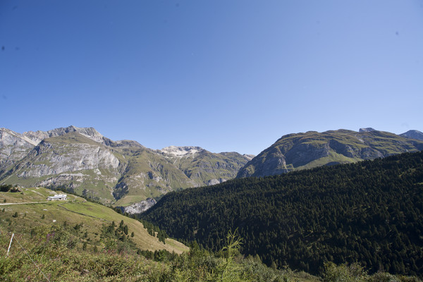 Weg zur Alpe Motta, Hintergrund Piz Starlera