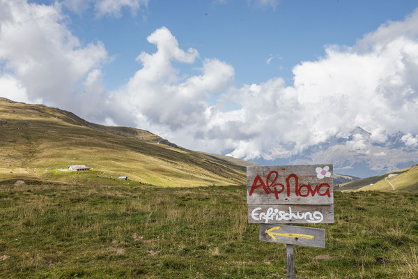 Alp Nova oberhalb von Vignogn im Val Lumnezia, Graubünden